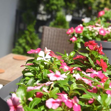 Dekart Apartment Nis Bagian luar foto