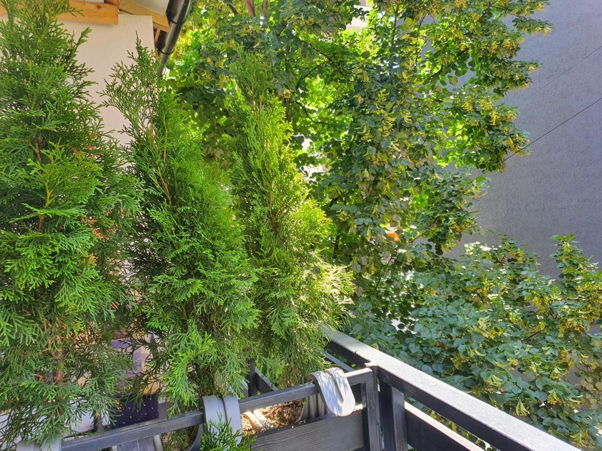 Dekart Apartment Nis Bagian luar foto