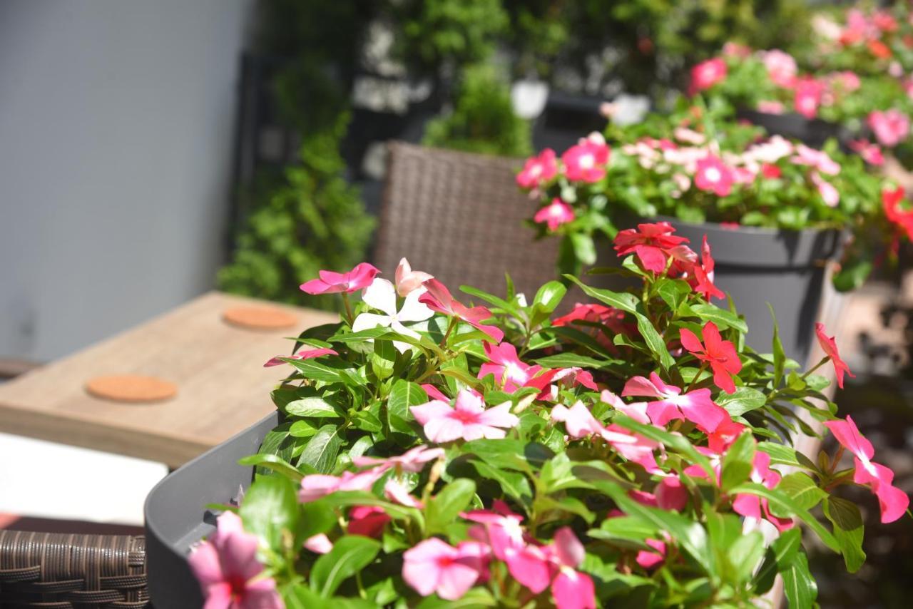 Dekart Apartment Nis Bagian luar foto
